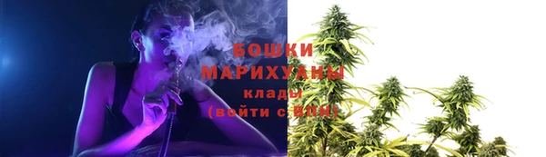 индика Ростов
