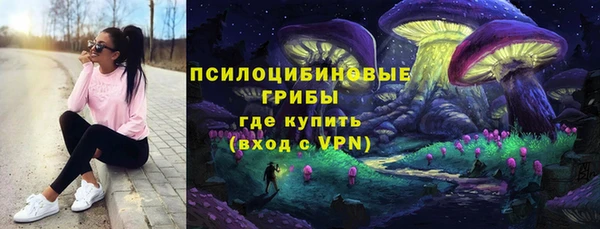 индика Ростов