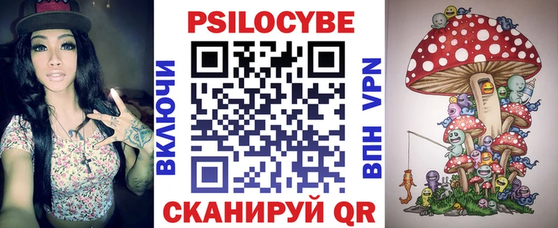 Псилоцибиновые грибы Psilocybe  блэк спрут как войти  Кирсанов 