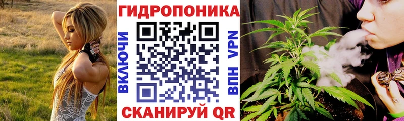 Шишки марихуана конопля  где купить наркоту  Кирсанов 